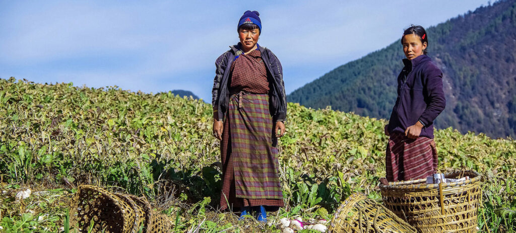 farmers are working hard to adapt to climate change