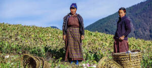 farmers are working hard to adapt to climate change